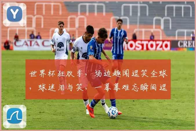 世界杯狂欢季，场边趣闻逗笑全球，球迷泪与笑，一幕幕难忘瞬间逗逗逗