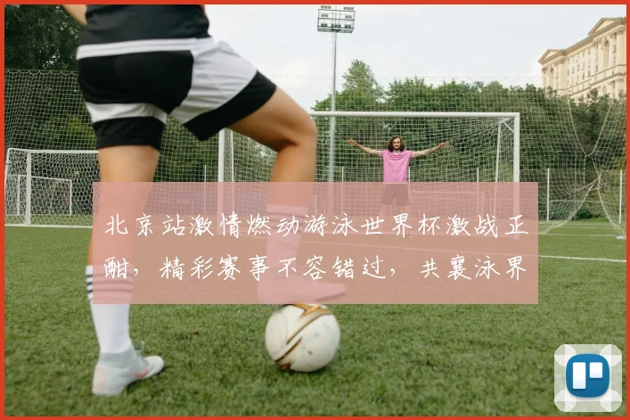 北京站激情燃动游泳世界杯激战正酣，精彩赛事不容错过，共襄泳界盛举